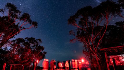 Nighttime Exploration of the Blue Mountains: BNight Walking Tours