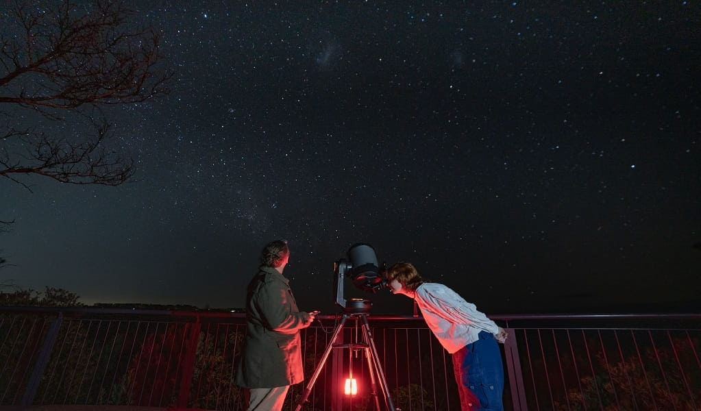 Discovering the Blue Mountains After Dark with BNight Tours