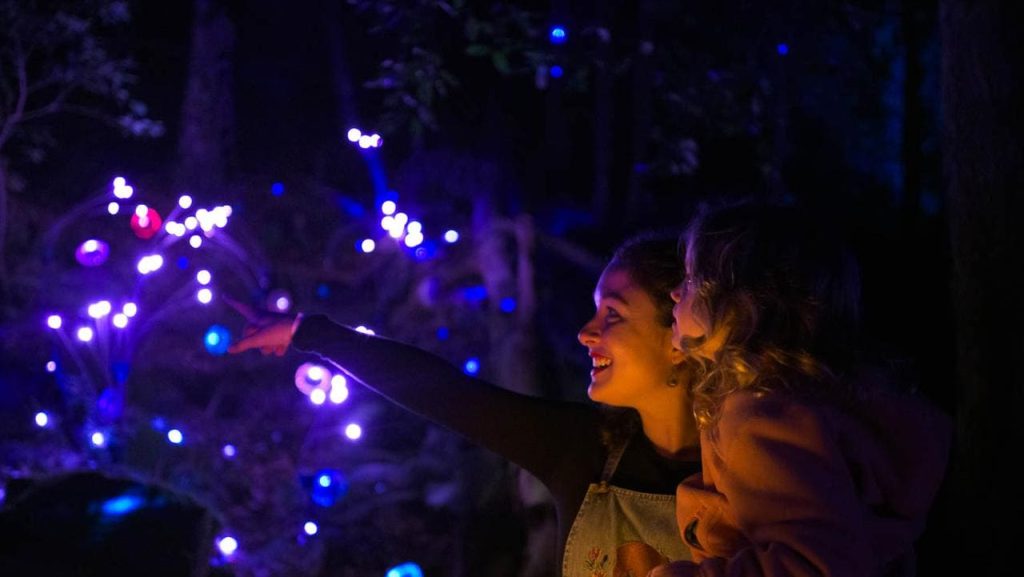 Evening Adventures in the Blue Mountains: BNight Walking Experiences