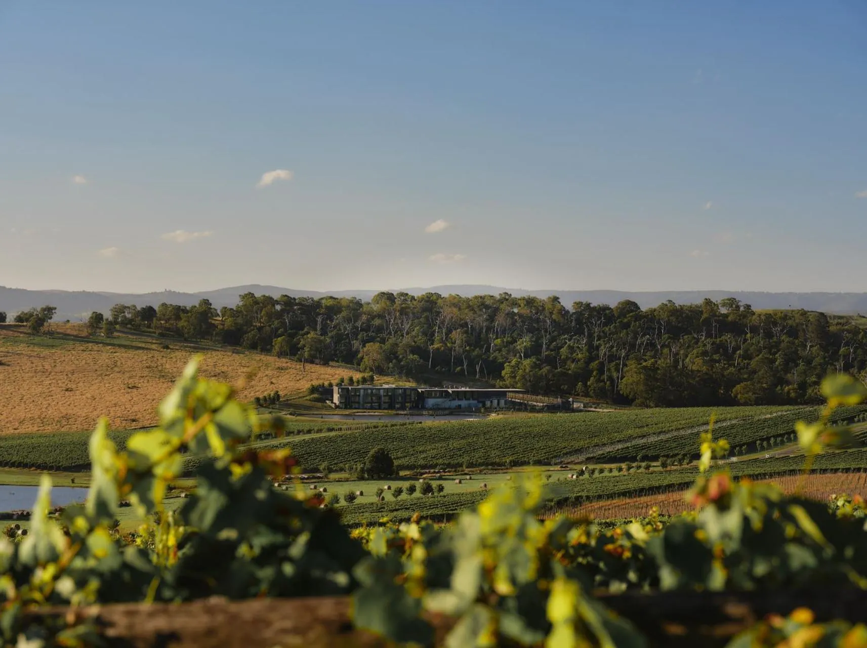 Yarra Valley winery